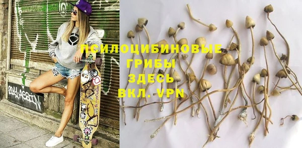 дурь Кодинск