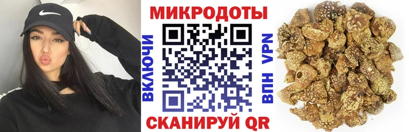 KRAKEN ONION  Ессентуки  Галлюциногенные грибы мицелий 