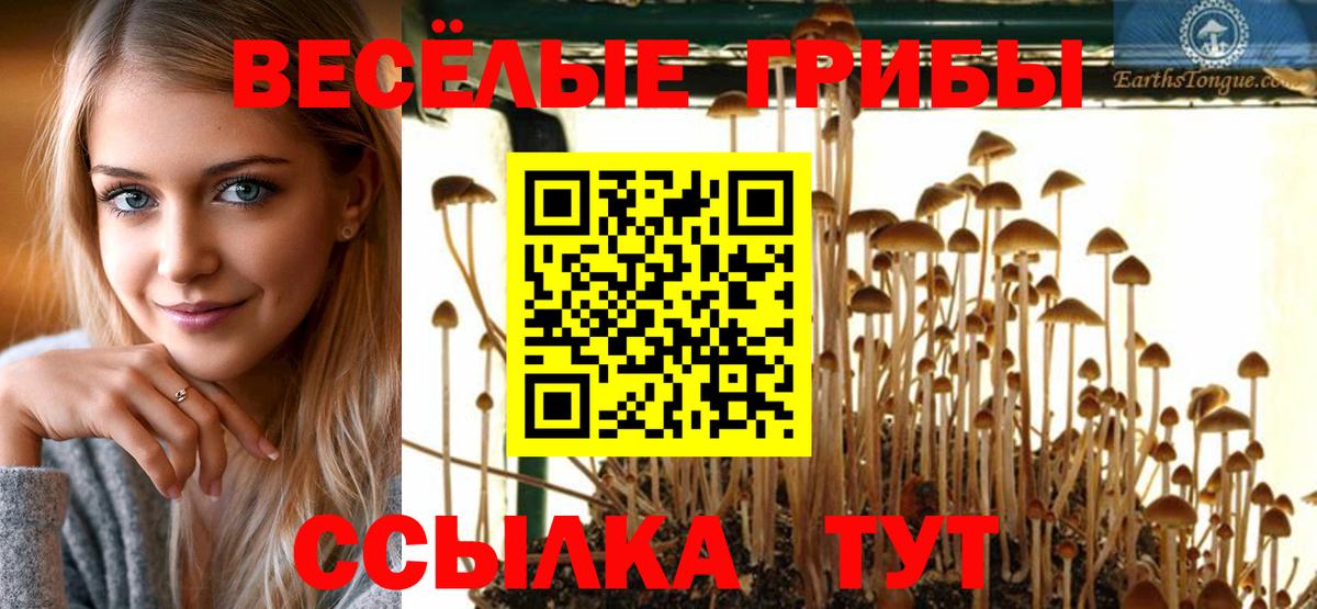 Псилоцибиновые грибы GOLDEN TEACHER Ессентуки