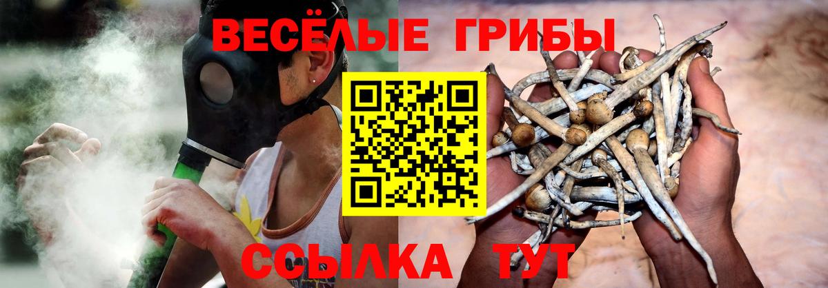 Галлюциногенные грибы мицелий Ессентуки