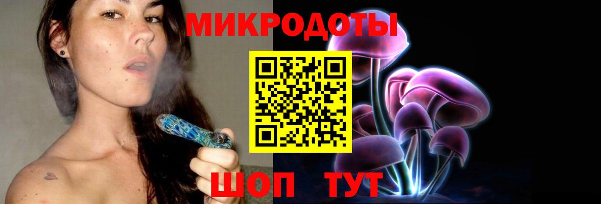 Псилоцибиновые грибы GOLDEN TEACHER  даркнет сайт  Псилоцибиновые грибы MAGIC MUSHROOMS  Ессентуки 