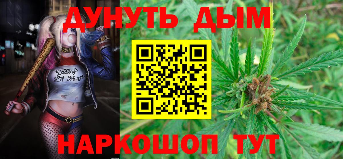 Каннабис сатива  Ессентуки  МАРИХУАНА VHQ 