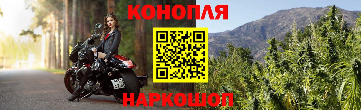 Шишки марихуана семена  Бошки марихуана марихуана  МАРИХУАНА THC 21%  Ессентуки  Вход с VPN 